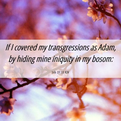 Picture 06 - Job 31:33 KJV - If I covered my transgressions as Adam, by hiding - Bible Verse Picture