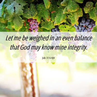 Picture 06 - Job 31:6 KJV - Let me be weighed in an even balance that God may - Bible Verse Picture