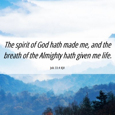 Picture 06 - Job 33:4 KJV - The spirit of God hath made me, and the breath of - Bible Verse Picture