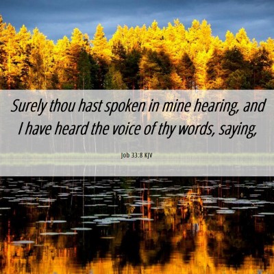 Picture 06 - Job 33:8 KJV - Surely thou hast spoken in mine hearing, and I - Bible Verse Picture