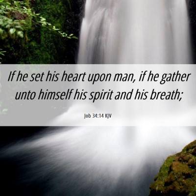 Picture 06 - Job 34:14 KJV - If he set his heart upon man, if he gather unto - Bible Verse Picture