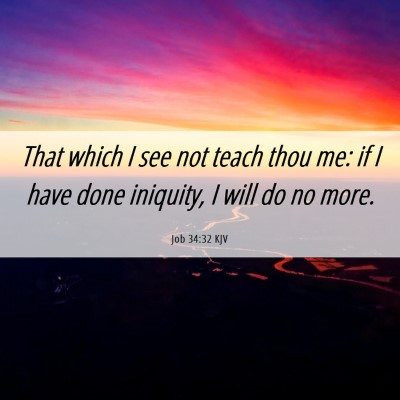 Picture 06 - Job 34:32 KJV - That which I see not teach thou me: if I have - Bible Verse Picture