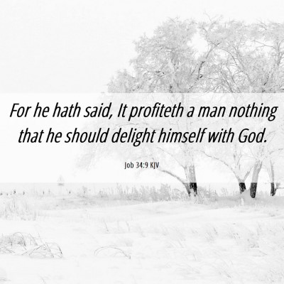 Picture 06 - Job 34:9 KJV - For he hath said, It profiteth a man nothing that - Bible Verse Picture