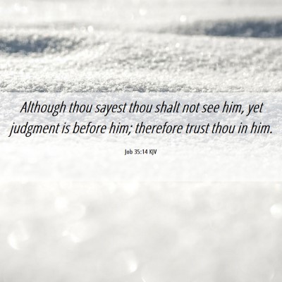 Picture 06 - Job 35:14 KJV - Although thou sayest thou shalt not see him, yet - Bible Verse Picture