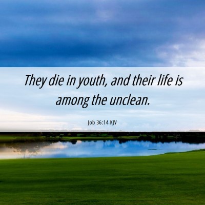 Picture 06 - Job 36:14 KJV - They die in youth, and their life is among the - Bible Verse Picture