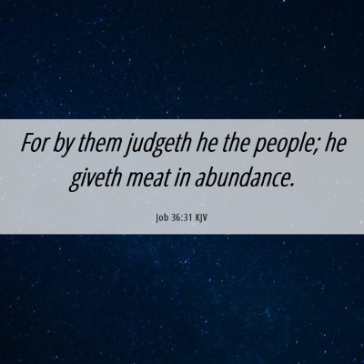 Picture 06 - Job 36:31 KJV - For by them judgeth he the people; he giveth meat - Bible Verse Picture