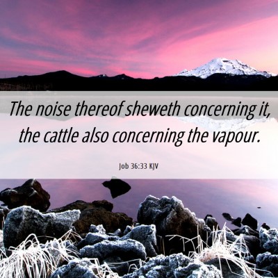 Picture 06 - Job 36:33 KJV - The noise thereof sheweth concerning it, the - Bible Verse Picture