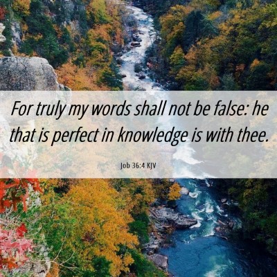 Picture 06 - Job 36:4 KJV - For truly my words shall not be false: he that is - Bible Verse Picture