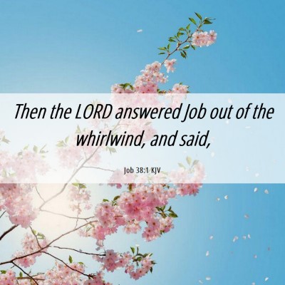 Picture 06 - Job 38:1 KJV - Then the LORD answered Job out of the whirlwind, - Bible Verse Picture