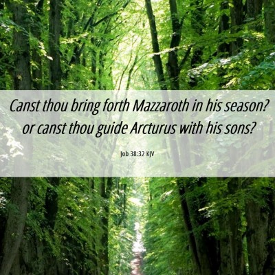 Picture 06 - Job 38:32 KJV - Canst thou bring forth Mazzaroth in his season? - Bible Verse Picture