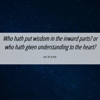 Picture 06 - Job 38:36 KJV - Who hath put wisdom in the inward parts? or who - Bible Verse Picture