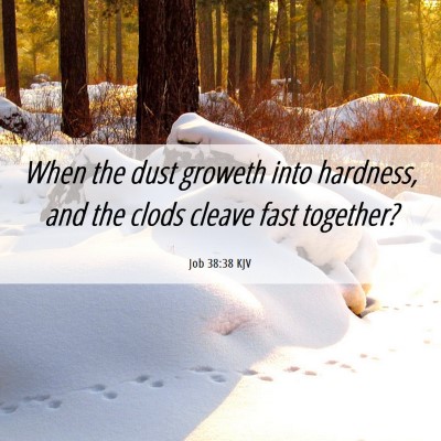 Picture 06 - Job 38:38 KJV - When the dust groweth into hardness, and the - Bible Verse Picture