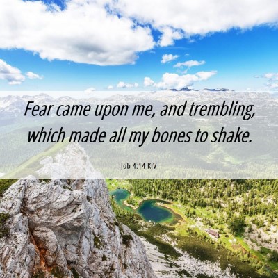 Picture 06 - Job 4:14 KJV - Fear came upon me, and trembling, which made all - Bible Verse Picture
