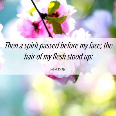 Picture 06 - Job 4:15 KJV - Then a spirit passed before my face; the hair of - Bible Verse Picture