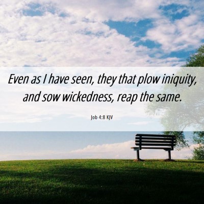 Picture 06 - Job 4:8 KJV - Even as I have seen, they that plow iniquity, and - Bible Verse Picture