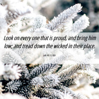 Picture 06 - Job 40:12 KJV - Look on every one that is proud, and bring him - Bible Verse Picture
