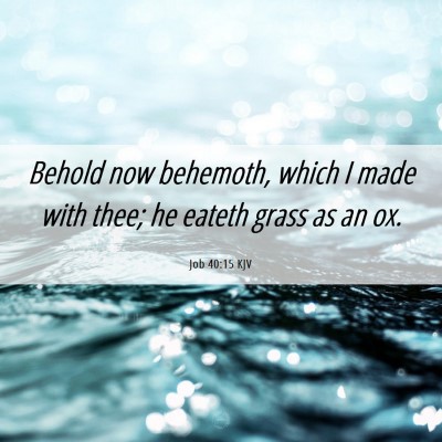 Picture 06 - Job 40:15 KJV - Behold now behemoth, which I made with thee; he - Bible Verse Picture