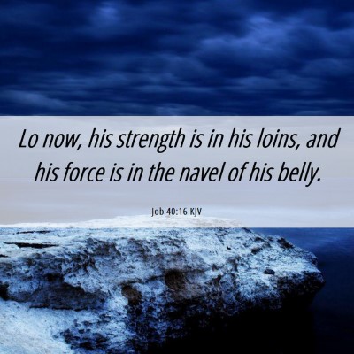 Picture 06 - Job 40:16 KJV - Lo now, his strength is in his loins, and his - Bible Verse Picture