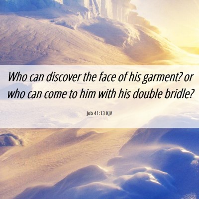 Picture 06 - Job 41:13 KJV - Who can discover the face of his garment? or who - Bible Verse Picture
