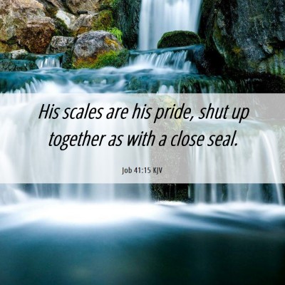 Picture 06 - Job 41:15 KJV - His scales are his pride, shut up together as - Bible Verse Picture