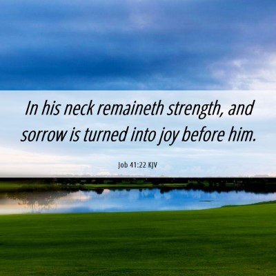 Picture 06 - Job 41:22 KJV - In his neck remaineth strength, and sorrow is - Bible Verse Picture