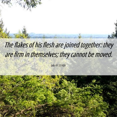Picture 06 - Job 41:23 KJV - The flakes of his flesh are joined together: they - Bible Verse Picture