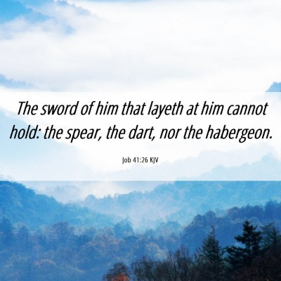 Picture 06 - Job 41:26 KJV - The sword of him that layeth at him cannot hold: - Bible Verse Picture