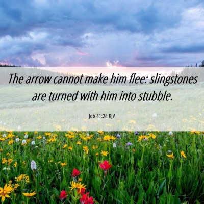 Picture 06 - Job 41:28 KJV - The arrow cannot make him flee: slingstones are - Bible Verse Picture