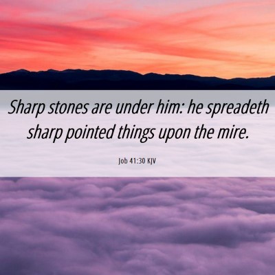 Picture 06 - Job 41:30 KJV - Sharp stones are under him: he spreadeth sharp - Bible Verse Picture