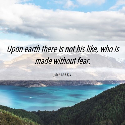 Picture 06 - Job 41:33 KJV - Upon earth there is not his like, who is made - Bible Verse Picture