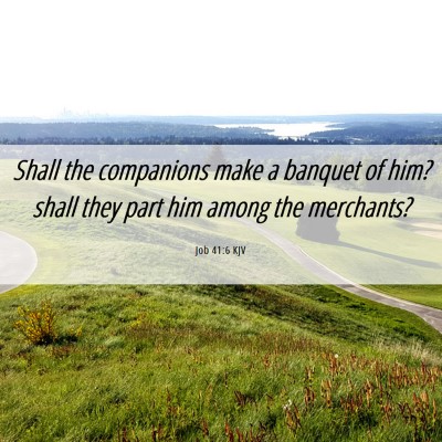 Picture 06 - Job 41:6 KJV - Shall the companions make a banquet of him? shall - Bible Verse Picture