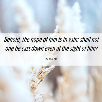 Picture 06 - Job 41:9 KJV - Behold, the hope of him is in vain: shall not one - Bible Verse Picture