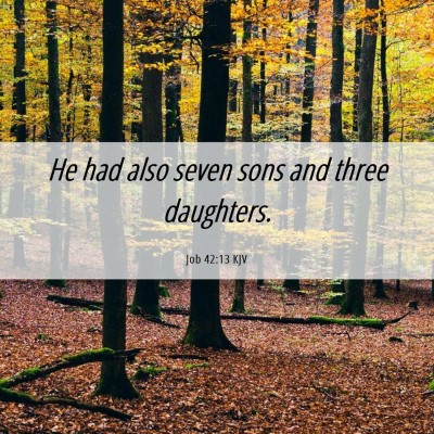 Picture 06 - Job 42:13 KJV - He had also seven sons and three - Bible Verse Picture