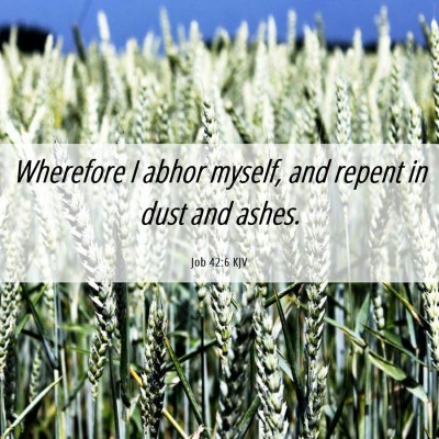 Picture 06 - Job 42:6 KJV - Wherefore I abhor myself, and repent in dust and - Bible Verse Picture