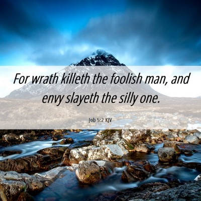 Picture 06 - Job 5:2 KJV - For wrath killeth the foolish man, and envy - Bible Verse Picture