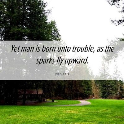 Picture 06 - Job 5:7 KJV - Yet man is born unto trouble, as the sparks fly - Bible Verse Picture