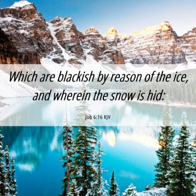 Picture 06 - Job 6:16 KJV - Which are blackish by reason of the ice, and - Bible Verse Picture