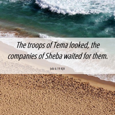 Picture 06 - Job 6:19 KJV - The troops of Tema looked, the companies of Sheba - Bible Verse Picture