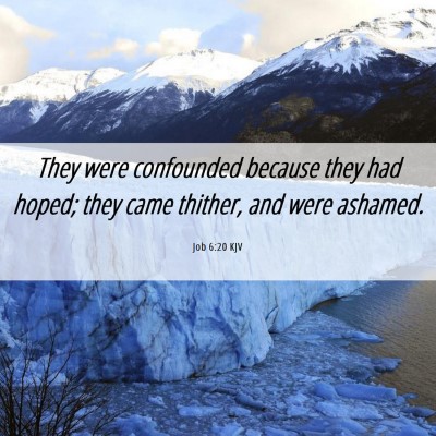 Picture 06 - Job 6:20 KJV - They were confounded because they had hoped; they - Bible Verse Picture