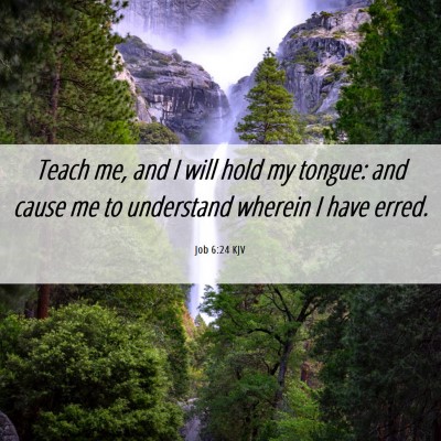 Picture 06 - Job 6:24 KJV - Teach me, and I will hold my tongue: and cause me - Bible Verse Picture
