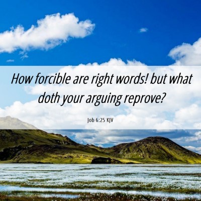 Picture 06 - Job 6:25 KJV - How forcible are right words! but what doth your - Bible Verse Picture