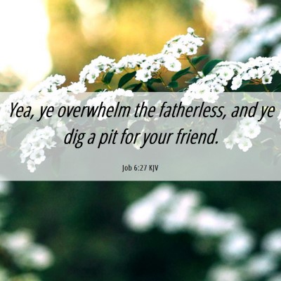 Picture 06 - Job 6:27 KJV - Yea, ye overwhelm the fatherless, and ye dig a - Bible Verse Picture