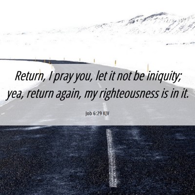 Picture 06 - Job 6:29 KJV - Return, I pray you, let it not be iniquity; yea, - Bible Verse Picture