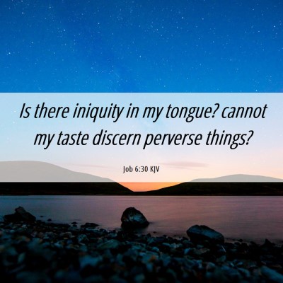 Picture 06 - Job 6:30 KJV - Is there iniquity in my tongue? cannot my taste - Bible Verse Picture