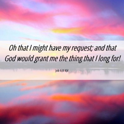 Picture 06 - Job 6:8 KJV - Oh that I might have my request; and that God - Bible Verse Picture