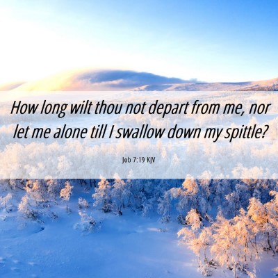 Picture 06 - Job 7:19 KJV - How long wilt thou not depart from me, nor let me - Bible Verse Picture