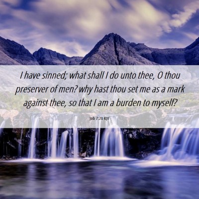 Picture 06 - Job 7:20 KJV - I have sinned; what shall I do unto thee, O thou - Bible Verse Picture