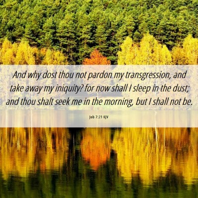 Picture 06 - Job 7:21 KJV - And why dost thou not pardon my transgression, - Bible Verse Picture