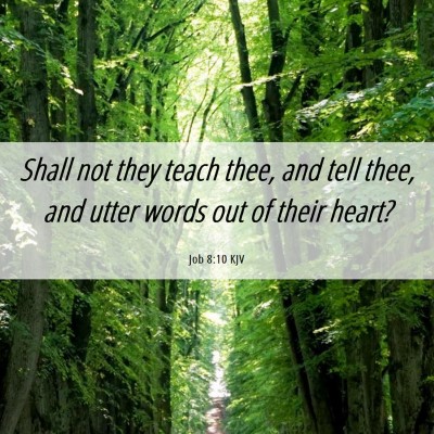 Picture 06 - Job 8:10 KJV - Shall not they teach thee, and tell thee, and - Bible Verse Picture