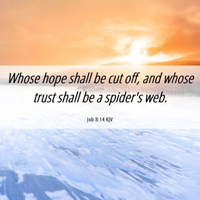 Picture 06 - Job 8:14 KJV - Whose hope shall be cut off, and whose trust - Bible Verse Picture